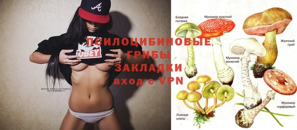 Альфа ПВП Абаза