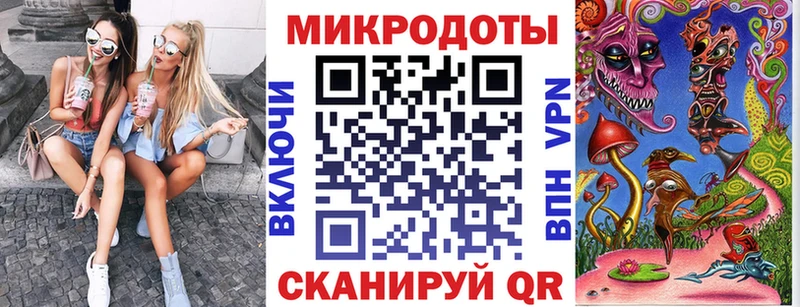 Псилоцибиновые грибы Psilocybe Полярный